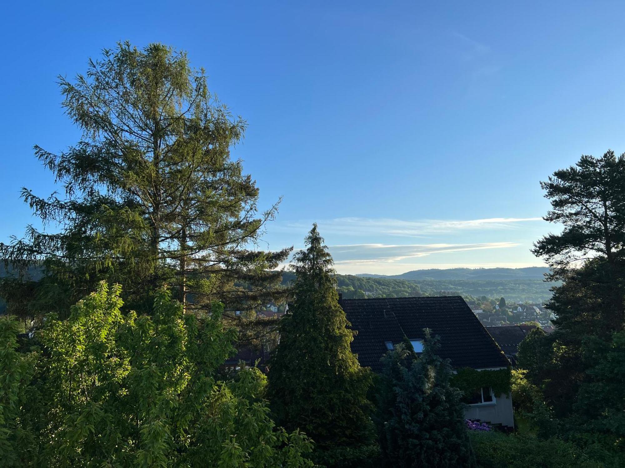 Ferienwohnung Nannerl Bad Sachsa Bagian luar foto